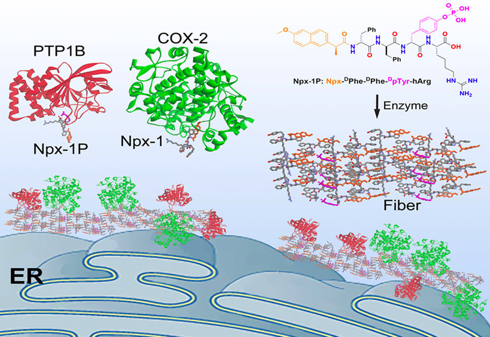 Xu Lab item