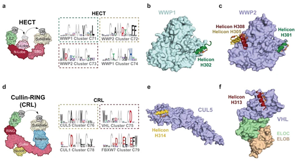 research figure 2