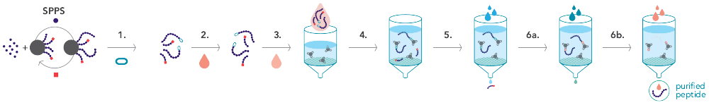 Detailed scheme of the PEC process using the PEC-Linker RC+