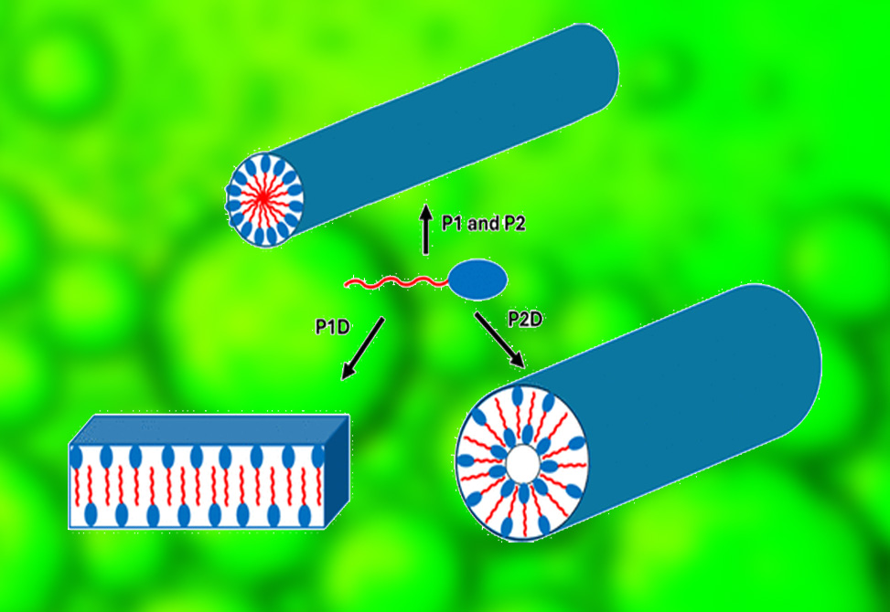 Hamley Lab