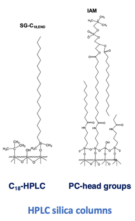 Figure 1 IAM