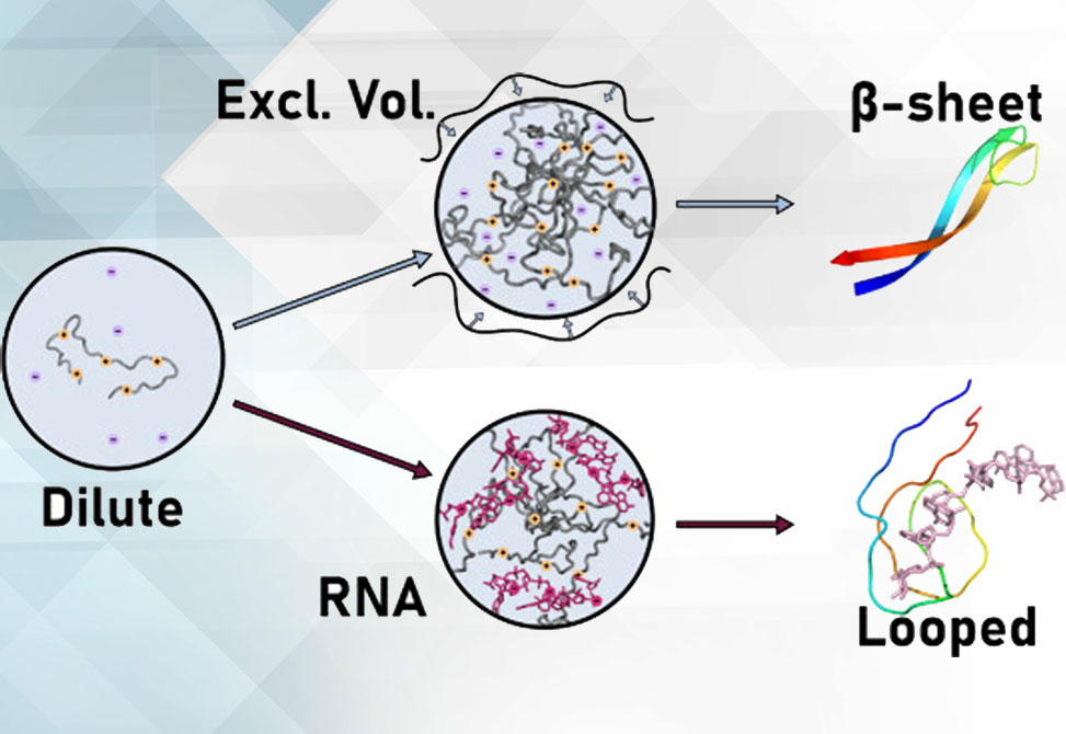 Baiz Lab item