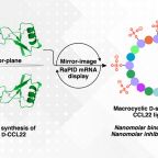 payne_group_jacs_figure