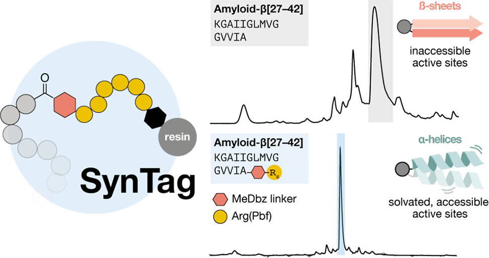 Syntag Figure