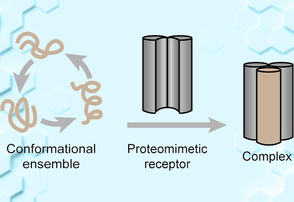 Arora Lab item