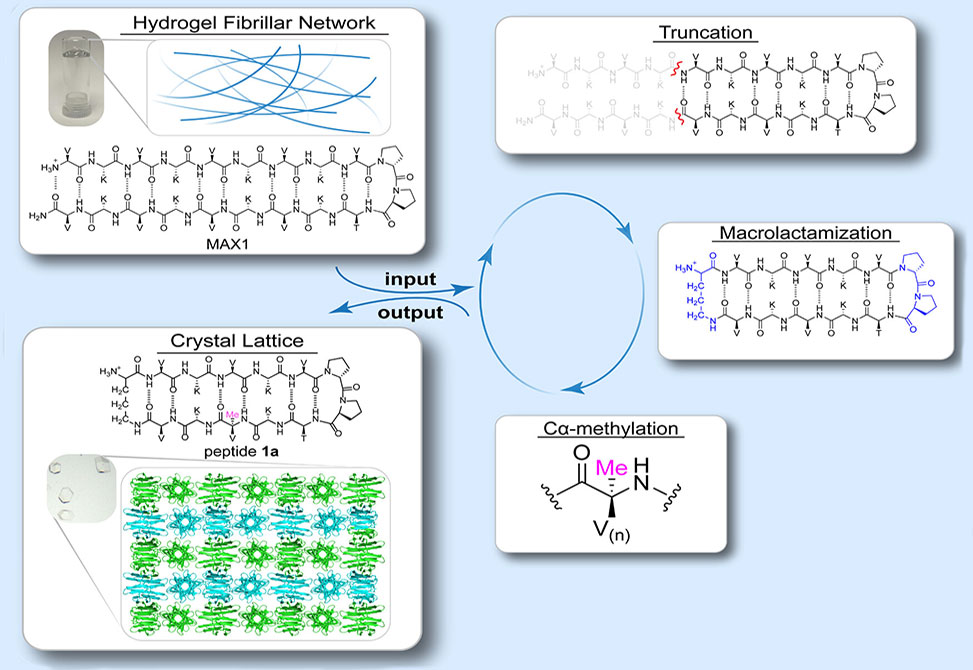 Schneider Lab item