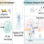 luan_zhang_etal_jacs_jul_2025