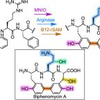 vanderdonk_jacs_june_2025_asap