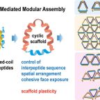 wang_jian_etal_jacs_jun_2025