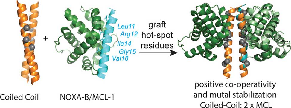 Research Figure