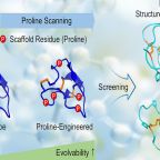 wu_yin_tsai_etal_jacs_jul_2025
