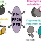 kohn_biochemistry_june_2025
