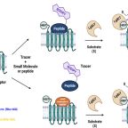 patnaik_aqcs_chem_biology_jul_2025