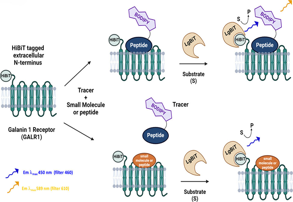 Patnaik Lab item