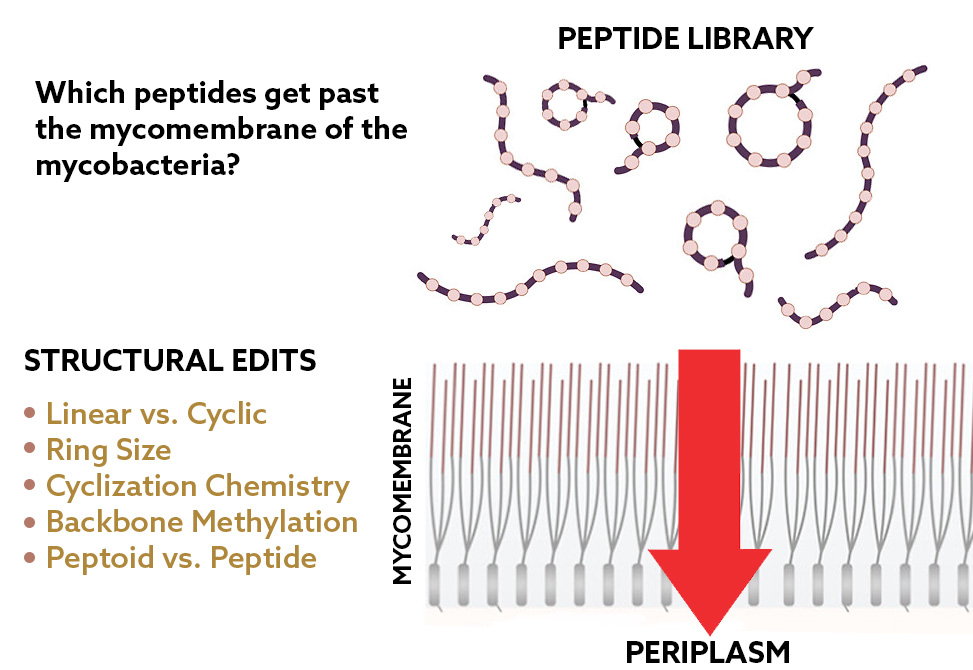 Pires Research Image