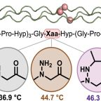 del_valle_peptide_science_aug_25