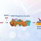kennedy_acs_med_chem_august_25