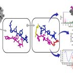 ruvo_et_al_eur_med_chem_aug_25