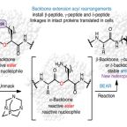schepartz_nat_chem_bio_aug_25
