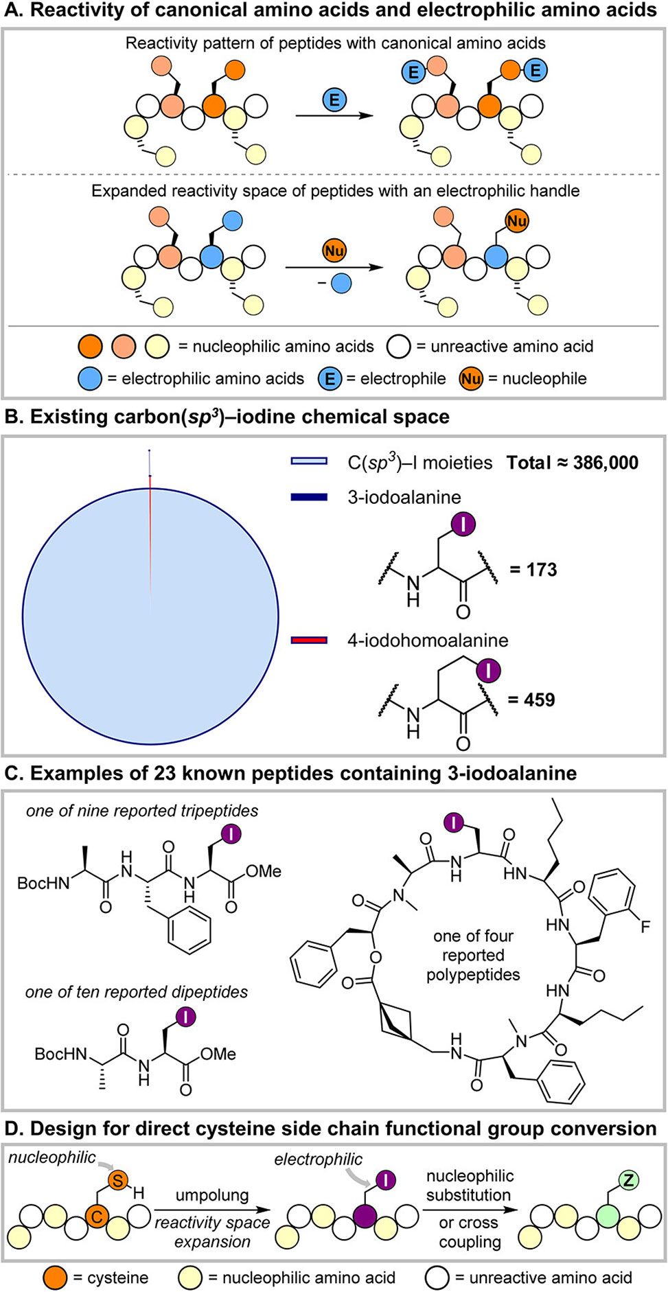 Figure 1 from paper