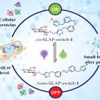 bandyopadhyay_angew_chem_image