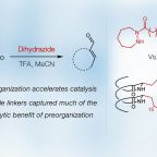 gellman_jacs_sept_2025