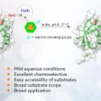 metanis_et_al_jacs_august_2025