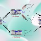 pastor_et-al_piscidin_figure
