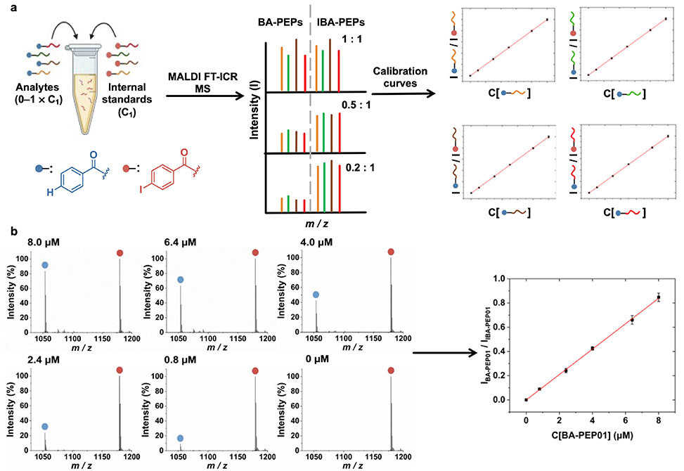 Lilienkampf Research Image