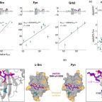 bussemaker_et_al_figure_4