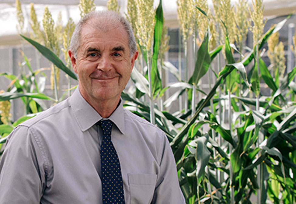 Professor David Craik