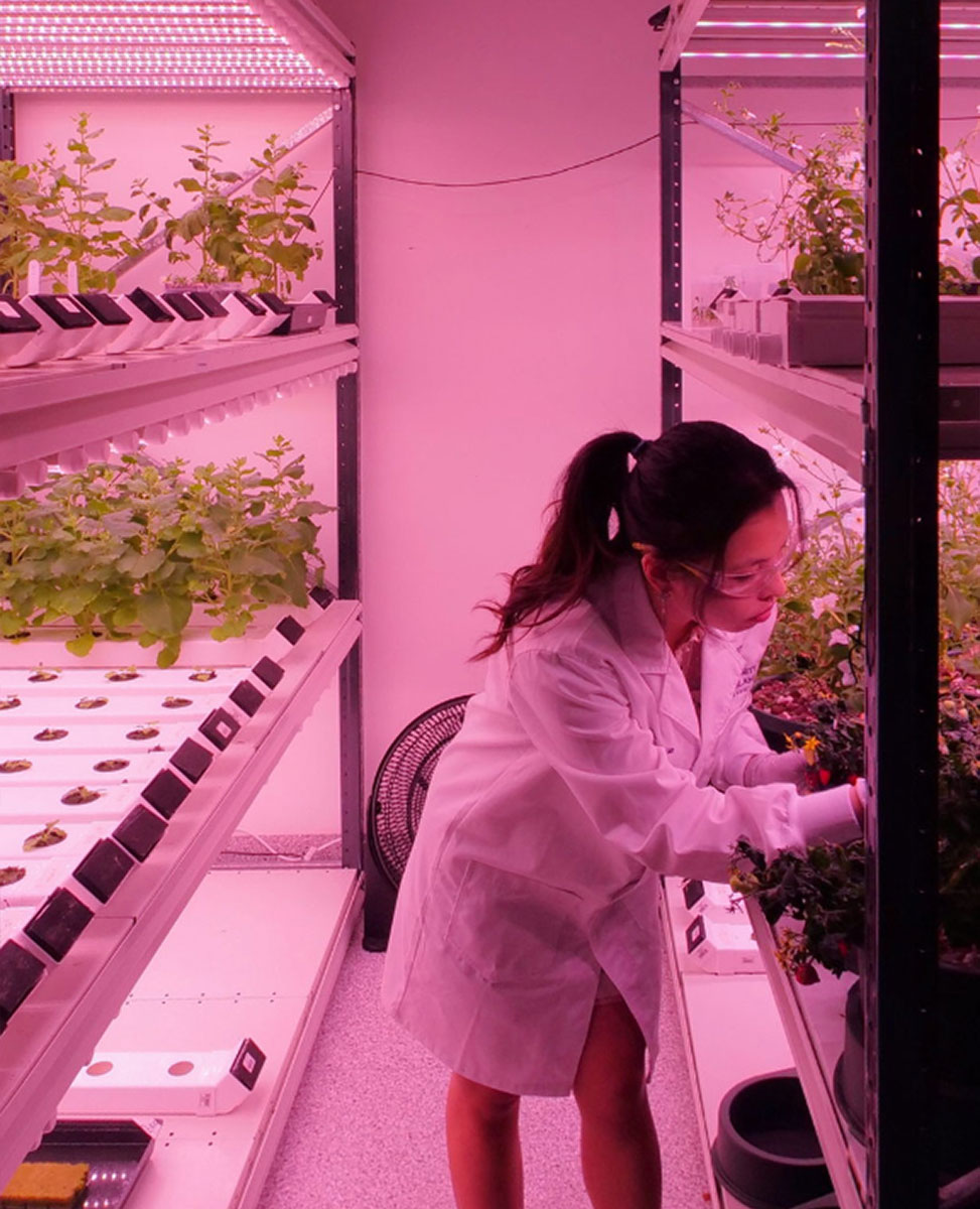 Greenhouse Environment