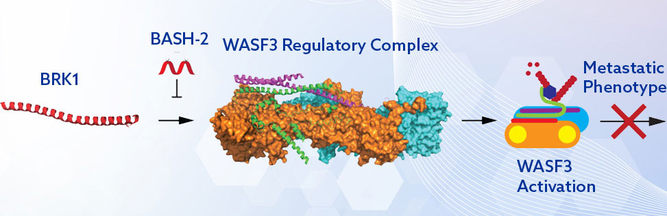 Taylor Dill Science Figure