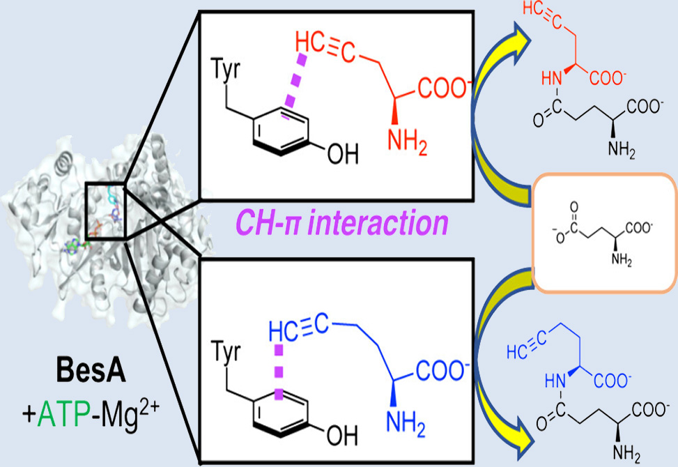 Fujishiro Research Image