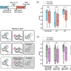 keating_amy_protein_sci_nov_2025_fig_2