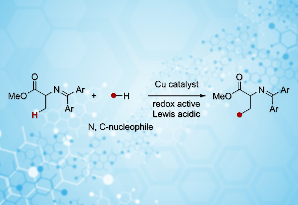 Yazaki Research Image