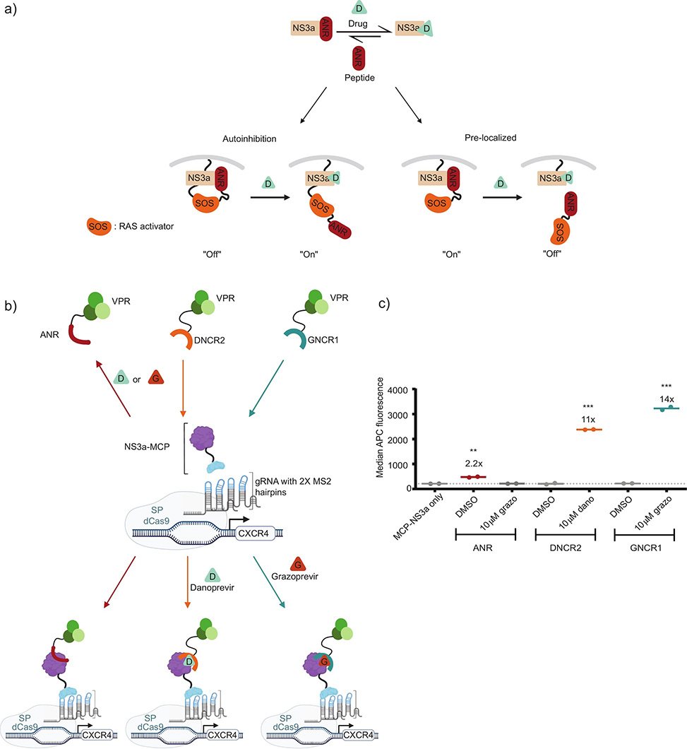 Figure 1 from publication