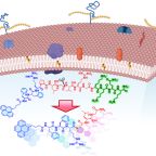 das_ghosh_jana_october_2025_fig