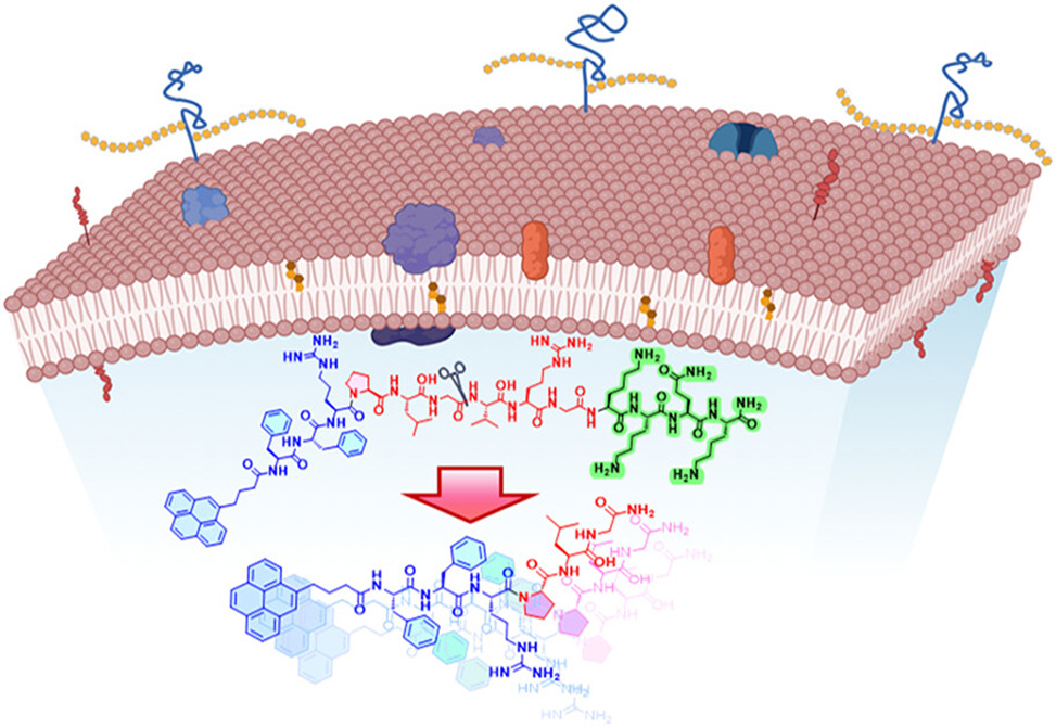 Amitava Research Image