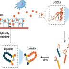 denisov_etal_abstract_image