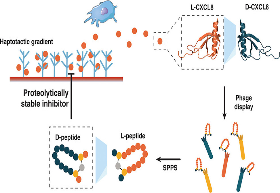 Ingrid Research Image