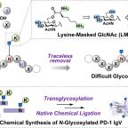 dong_chen_jacs_oct_fig