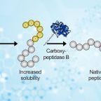hartrampf_etal_acs_chembiol_fig_abst