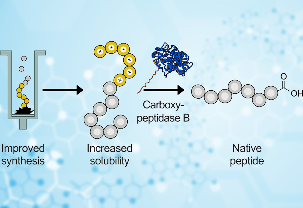 Hartrampf Research Image