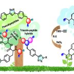 jain_etal_org_lett_nov_25_figure
