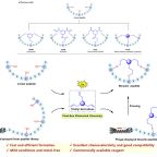 lei_etal_angew_chem_nov_25_fig_1