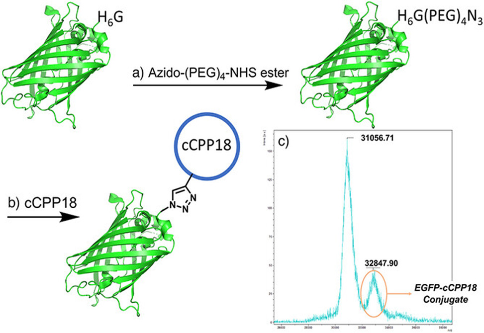 Meldal Research Image