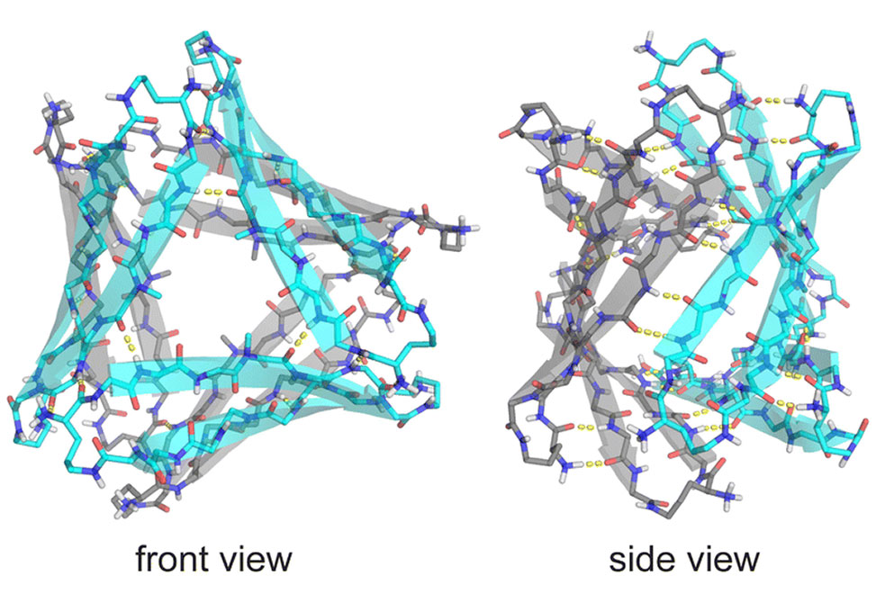 Nowick Research Image