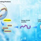 pina_group_nov_25_abstract_img