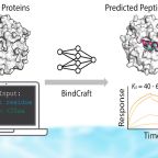 pomplun_group_now_25_abstract_image